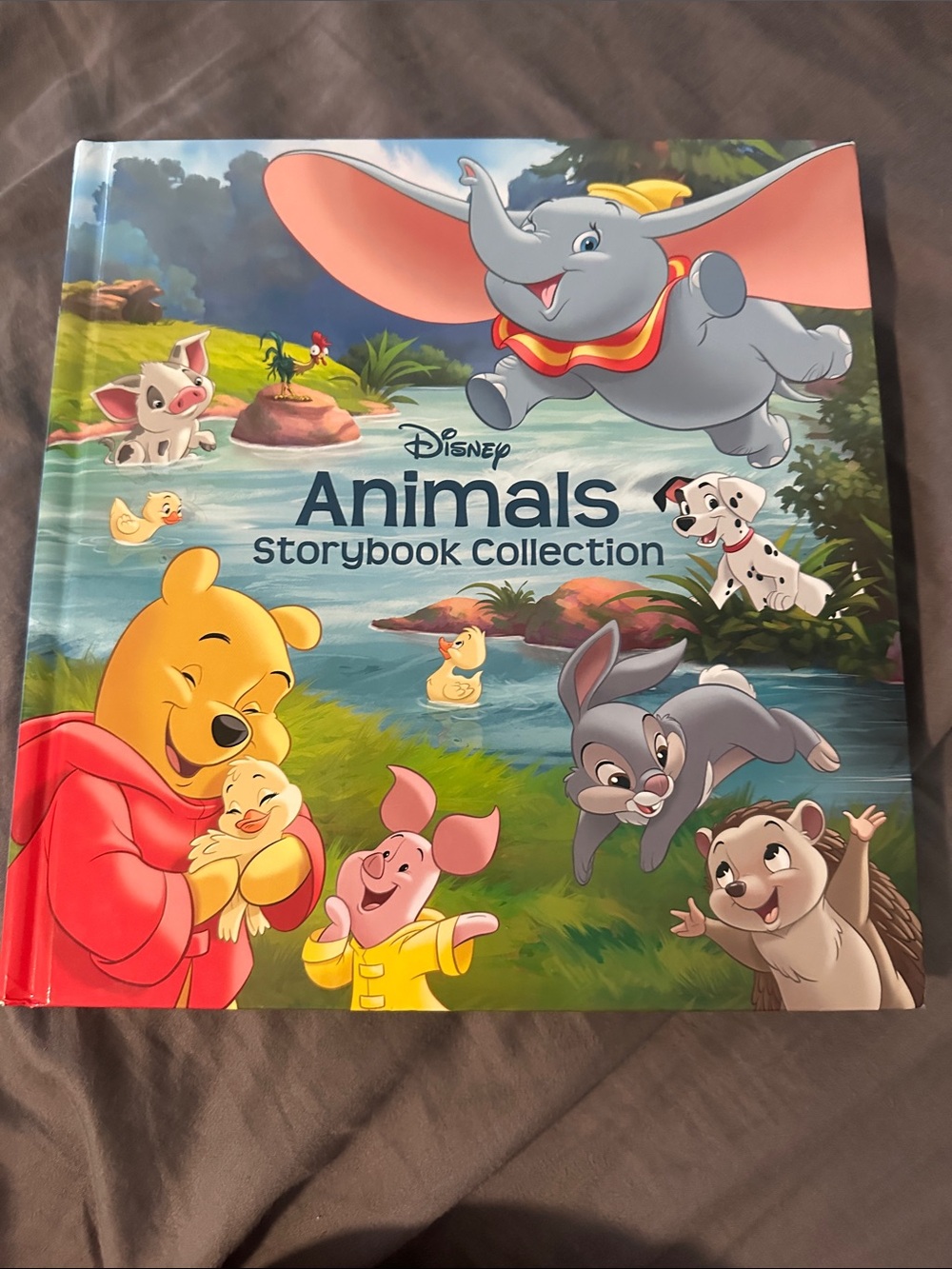 Disney Colorful Animals Storybook - Blue, Green, Red